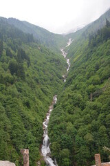 Waterfall in forest.