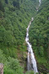Waterfall in forest.