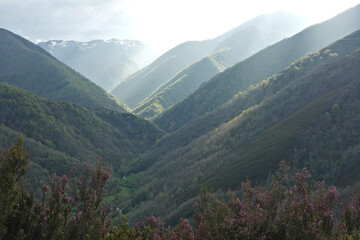 Wooded mountains illuminated by sunlight creating a beautiful atmosphere, with a very bright sky. Muniellos National Reserve, Asturias, Spain.