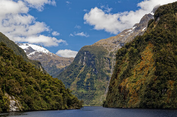 Obraz premium Fünf Kajaks unterwegs im Milford Sound