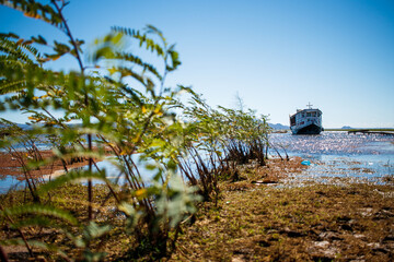 boat by the river in sento sé bahia