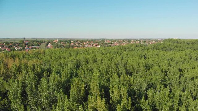 Slow aerial view over a forest in Serbia as a bird flies through the frame with the town of Novi Becej in the background.