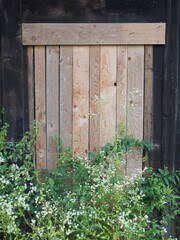 Holzschuppen - Bretter und grüne Kletterpflanzen versiegeln früheren Eingang
