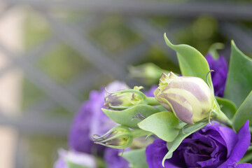 Beautiful bouquet of white and purple flowers. Decorative flower arrangement for the holiday. Closeup.