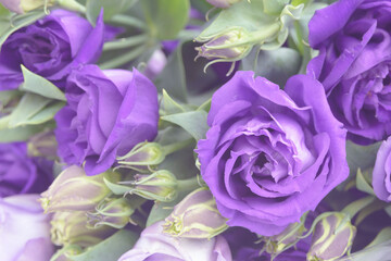 Beautiful bouquet of white and purple flowers. Decorative flower arrangement for the holiday. Closeup.