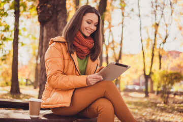 Obraz premium Photo of charming lovely lady smiling sit bench park hold tablet drink coffee posting picture falling autumn leaves wear scarf green turtleneck orange windbreaker pants outdoors