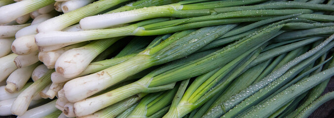 Green onions
