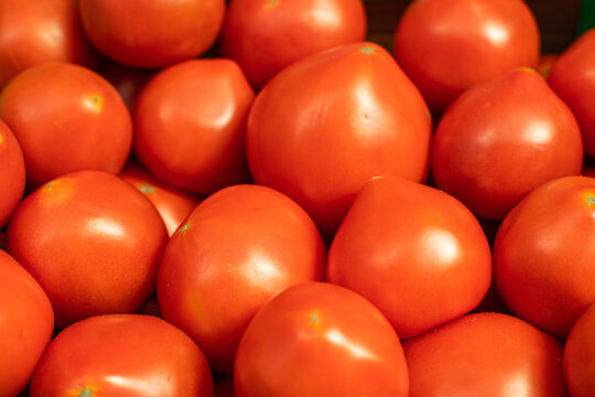 Macro stock photo of organic fresh tomatoes of vivid red color.