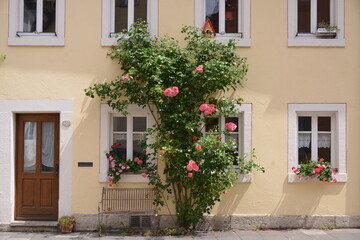 Fototapeta na wymiar travel in Germany Rothenburg