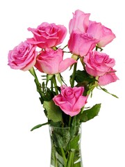 Posy of pretty pink roses isolated close up