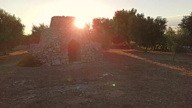 Beautiful trullo with olive grove, Manduria, Southen Italy. View of conical roof of traditional dry stone trullo house, Puglia. Trullis are unique to this part of southern Italy.