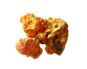 Sweet Myrrh (Opoponax) Isolated on White Background.