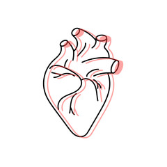 human heart design over white background vector illustration