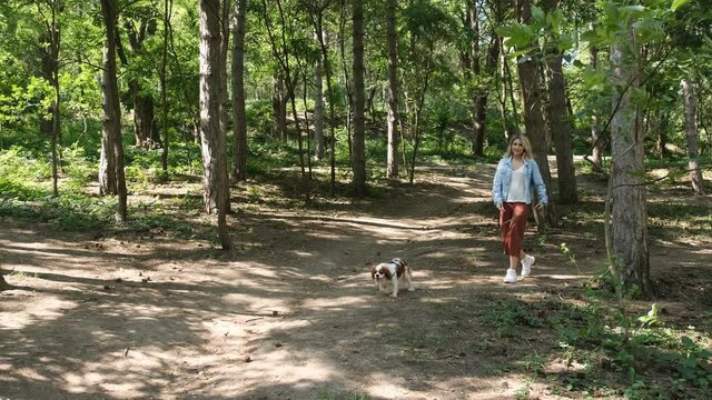Attractive blonde haired woman walking with her cavalier dog on leash in the park. Having fun together, animal care concept.
