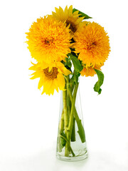 pretty,yellow flowers of sunflower plants in summer