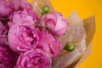 Purple roses bouquet on yellow background