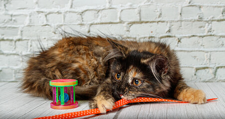 Beautiful little cat girl on a background of a brick wall