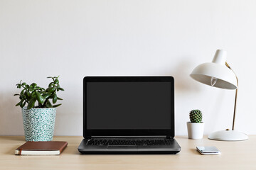 Laptop on a wooden desk with plants and lamp