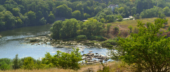 Beautiful nature. Horizon view. Plant and sea