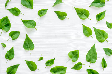 Top view frame of green leaves. Nature concept layout