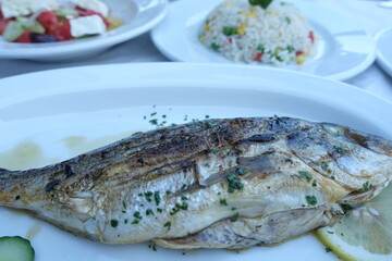 travel in Greek Brothers Restaurant Athens