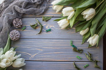 White tulips on a blue wooden background. Top view with copy space.