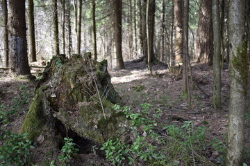 Подмосковье