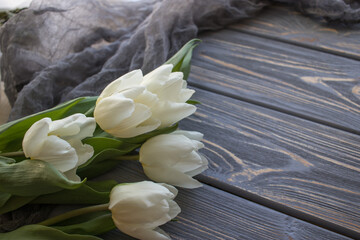 White tulips on a blue wooden background. Top view with copy space.