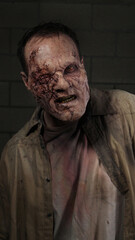 Scarred Zombie #6