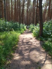 Кисловодский парк