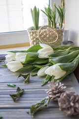 White tulips on a blue wooden background. Top view with copy space.