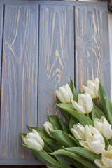 White tulips on a blue wooden background. Top view with copy space.