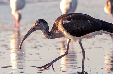 Sunrise at the beach
