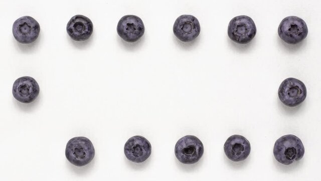 Macro shot blueberry appear and disappear on white background around the edges of the frame from adobe. Stop motion animation. Food and vegetarian concept with copy space