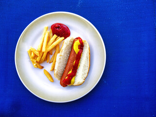 High angle view of hotdog and french fries on a plate