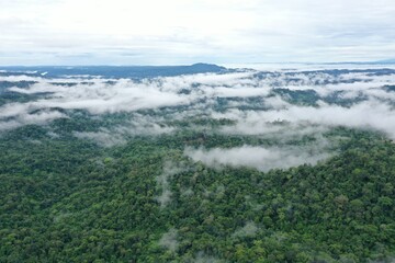 Aerial view of a tropical rainforest with many clouds covering the green tree canopy
