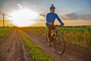 cyclist on bike rides along the fields of wheat in the sunlight. sports and hobbies. outdoor...