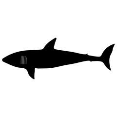 Primitive shark vector icon, 50x50 px