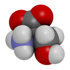 D-serine amino acid molecule. Enantiomer of L-serine. 3D rendering. Atoms are represented as spheres with conventional color coding: hydrogen (white), carbon (grey), oxygen (red), nitrogen (blue).