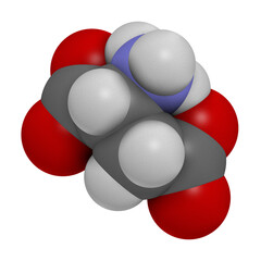 D-aspartic acid (D-aspartate) amino acid molecule. 3D rendering. Atoms are represented as spheres with conventional color coding: hydrogen (white), carbon (grey), oxygen (red), nitrogen (blue).