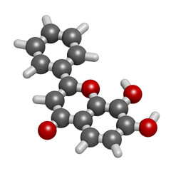 7,8-Dihydroxyflavone or 7,8-DHF molecule. 3D rendering. Atoms are represented as spheres with conventional color coding: hydrogen (white), carbon (grey), oxygen (red).