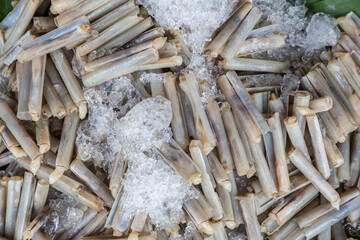 Fresh razor shell on ice at the seafood booth. razor clams for sale on food market. 