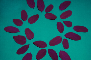 The rich purple leaves were shot on a navy green background with empty space. The concept photo was shot for your progressive design.