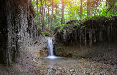 Clear mountain stream in the lush forest. Wilderness scene with pure water and trees roots. Nature backgtround