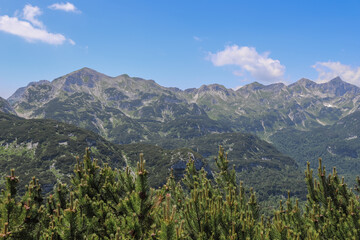 View to the mountain Vogel in Slovenia in summer