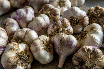 Close up of garlic bulbs.