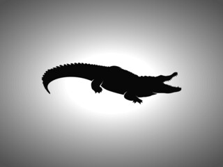 Crocodile Silhouette on White Background. Isolated Vector Animal
