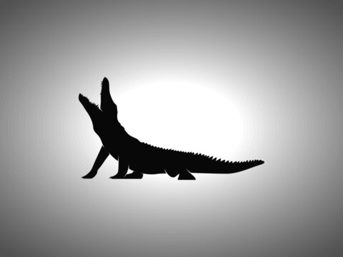 Crocodile Silhouette on White Background. Isolated Vector Animal