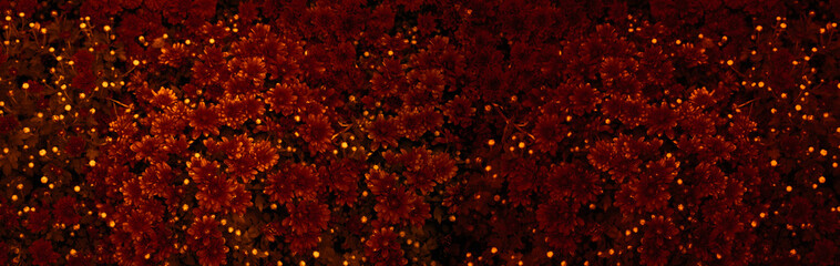 Autumn still life. Autumn background. Autumn season background, Autumn postcard. Banner. copyspace