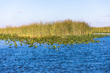 The Everglades National Park, Florida, USA